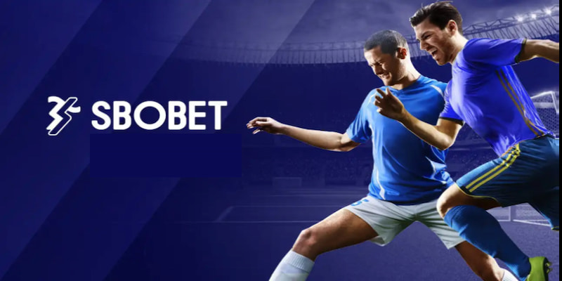 Tìm hiểu những kiến thức cơ bản của sảnh game Sbobet 23Win