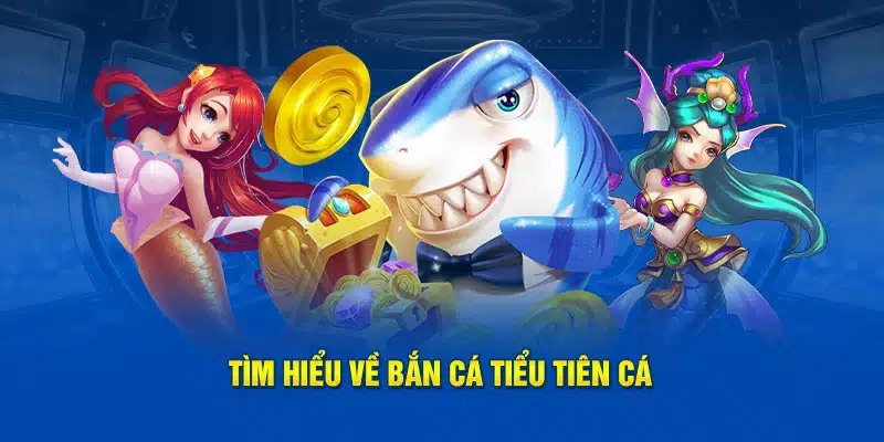 Hiểu rõ hơn về sảnh bắn cá tiểu tiên cuốn hút tại 23win