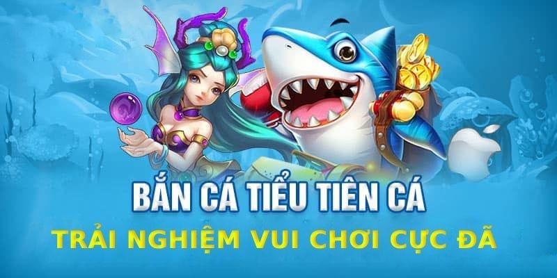 Lý do nhà cái 23win là địa điểm tin cậy để tham gia