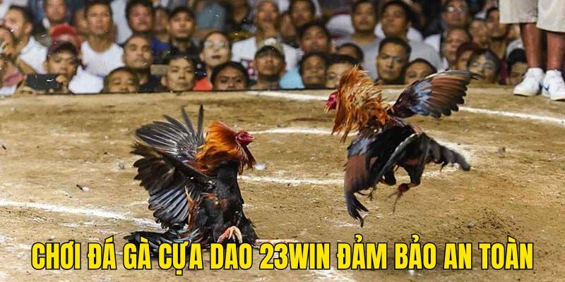 Tổng hợp ưu điểm khi chơi đá gà cựa dao 23WIN