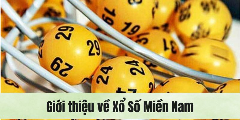Những nét chính giới thiệu về XSMN