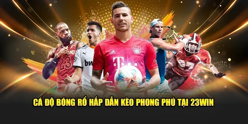 ca-cuoc-bong-da-da-dang-23win